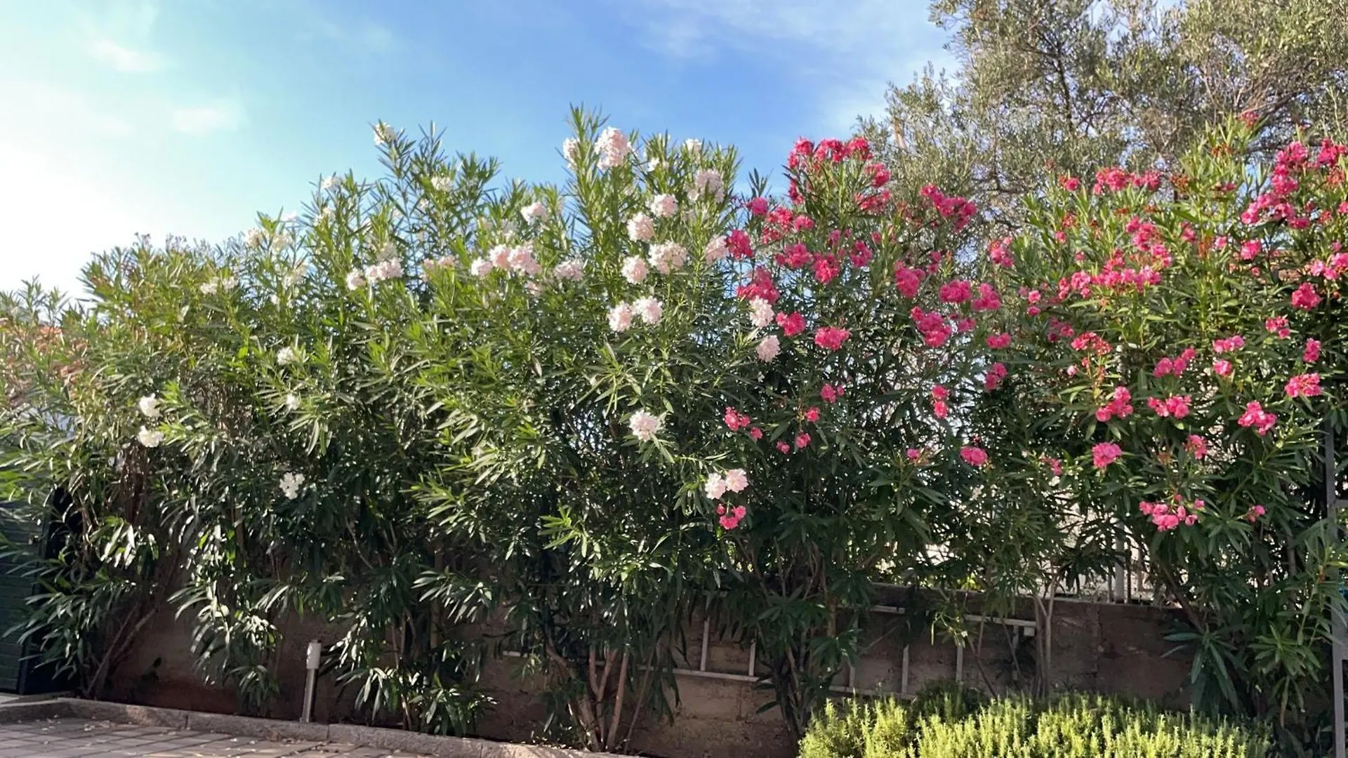 Apartment Relax Villa Salena Slatine